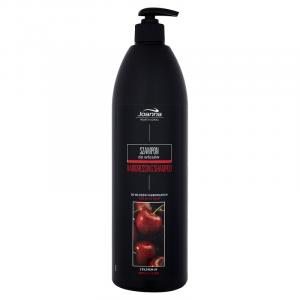 UV Filter Protective Hair Shampoo szampon ochronny do włosów farbowanych 1000ml
