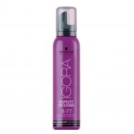 Igora Expert Mousse koloryzująca pianka do włosów 8-77 Lekki Miedziany Blond 100ml