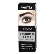 Professional Eyebrow Tint farba do brwi w proszku 1.0 Black